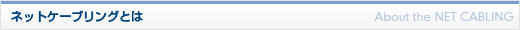 ネットケーブリングとは　About the NET CABLING